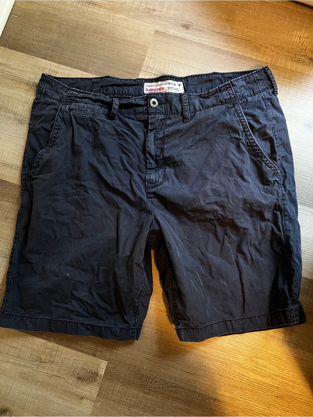 American Eagle Outfitters Navy Flat-Front Men's Shorts